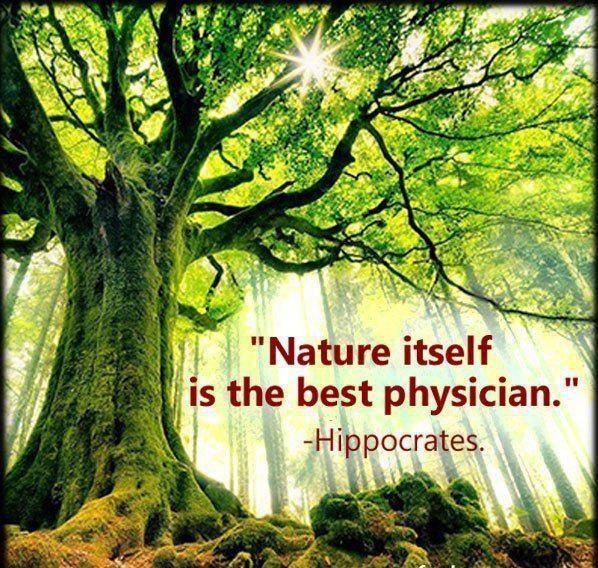 Naturopathic Medicine hippocrates nature - Revitalize Health and Wellness
